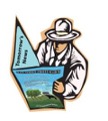 The Stock Sleuth